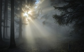Licht der Hoffnung in Zeiten der Trauer