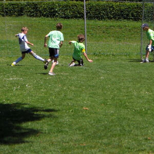 Miniscup 