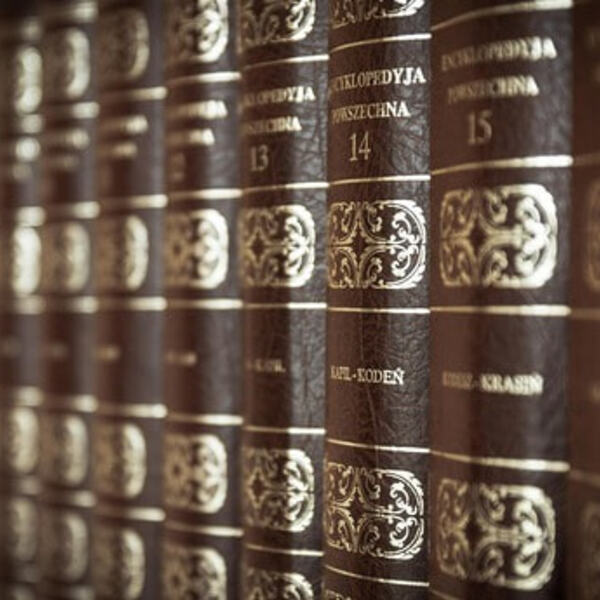 Bücher / © jarmoluk/pixabay.com/Pixabay License Bücher