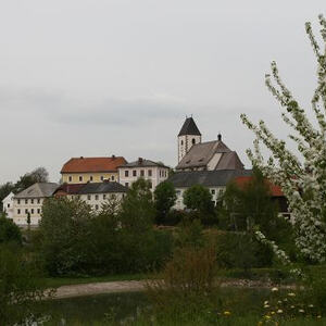 Firmung