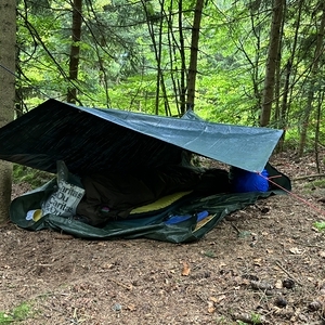 WaldWE