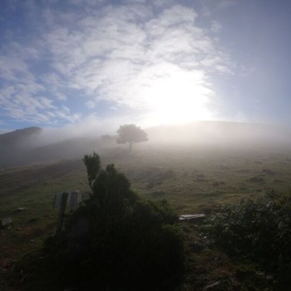 Nebel+Wolken