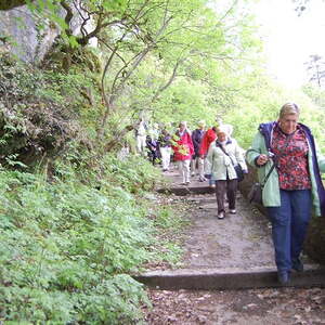 Lourdes Wallfahrt