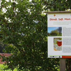 Chorausflug