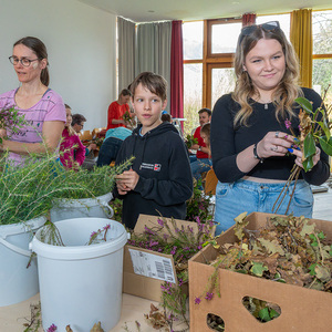Kath. Jungschar der Pfarre Kirchdorf an der Krems übernahm heuer erstmals das Palmbuschen-Binden. 