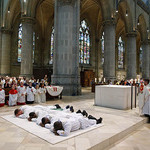 Vier Männer von Bischof Scheuer im Mariendom Linz  zu Priestern geweiht