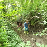 Bachwanderung und Naturerlebnis