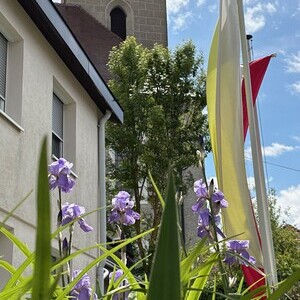 Pfarrfirmung 17.05.2025 Niederneukirchen / Pfarre Niederneukirchen 2025 Pfarrfirmung 17.05.2025 Niederneukirchen