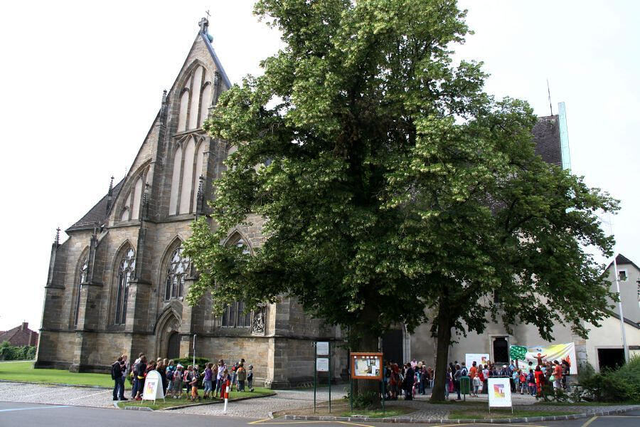 Franziskusfest